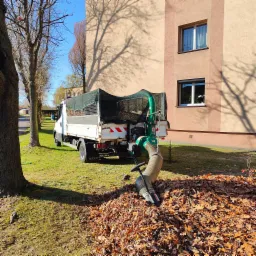 Biała ciężarówka Iveco z zielonym odkurzaczem do liści, zbierająca opadłe liście na trawniku przed budynkiem mieszkalnym w słoneczny dzień.
