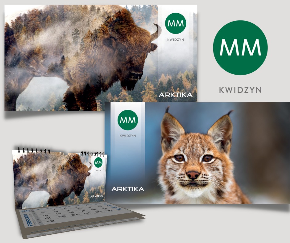 Kompozycja graficzna przedstawiająca wizualizacje logo 'MM Kwidzyn Arktyka' na kalendarzu biurkowym z żubrem i rysiem, oraz na kartach reklamowych z motywem lasu.