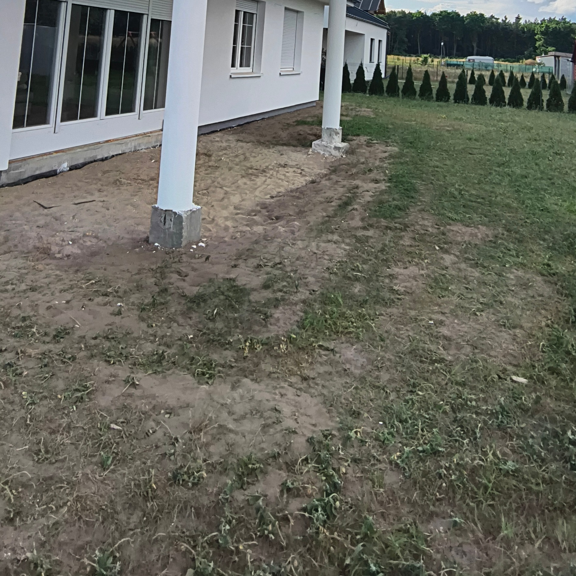 Nowoczesny dom z białymi kolumnami i dużymi oknami na etapie przygotowania terenu pod ogród, widok z zewnątrz, trawnik i tuje w tle.