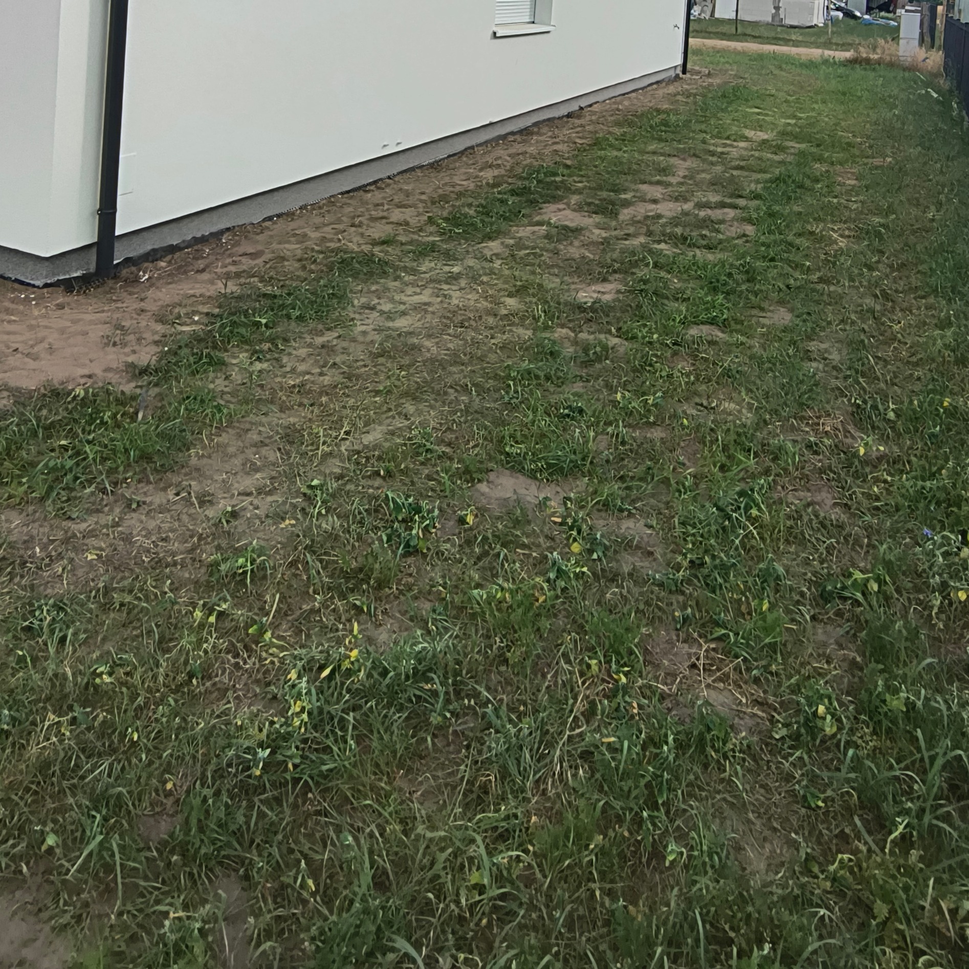 Fundament budynku z izolacją, widoczna trawa i ziemia. Ujęcie z niskiej perspektywy.