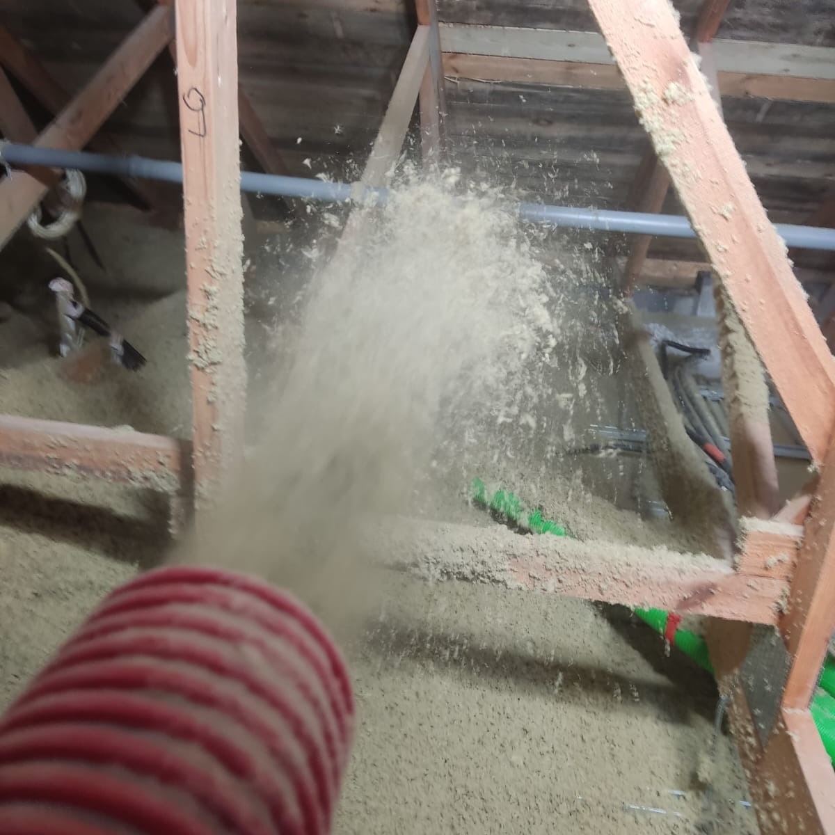 Aplikacja izolacji w przestrzeni poddasza za pomocą węża. Widoczne drewniane elementy konstrukcyjne i warstwa izolacyjna. Detal: czerwony wąż do wdmuchiwania materiału.
