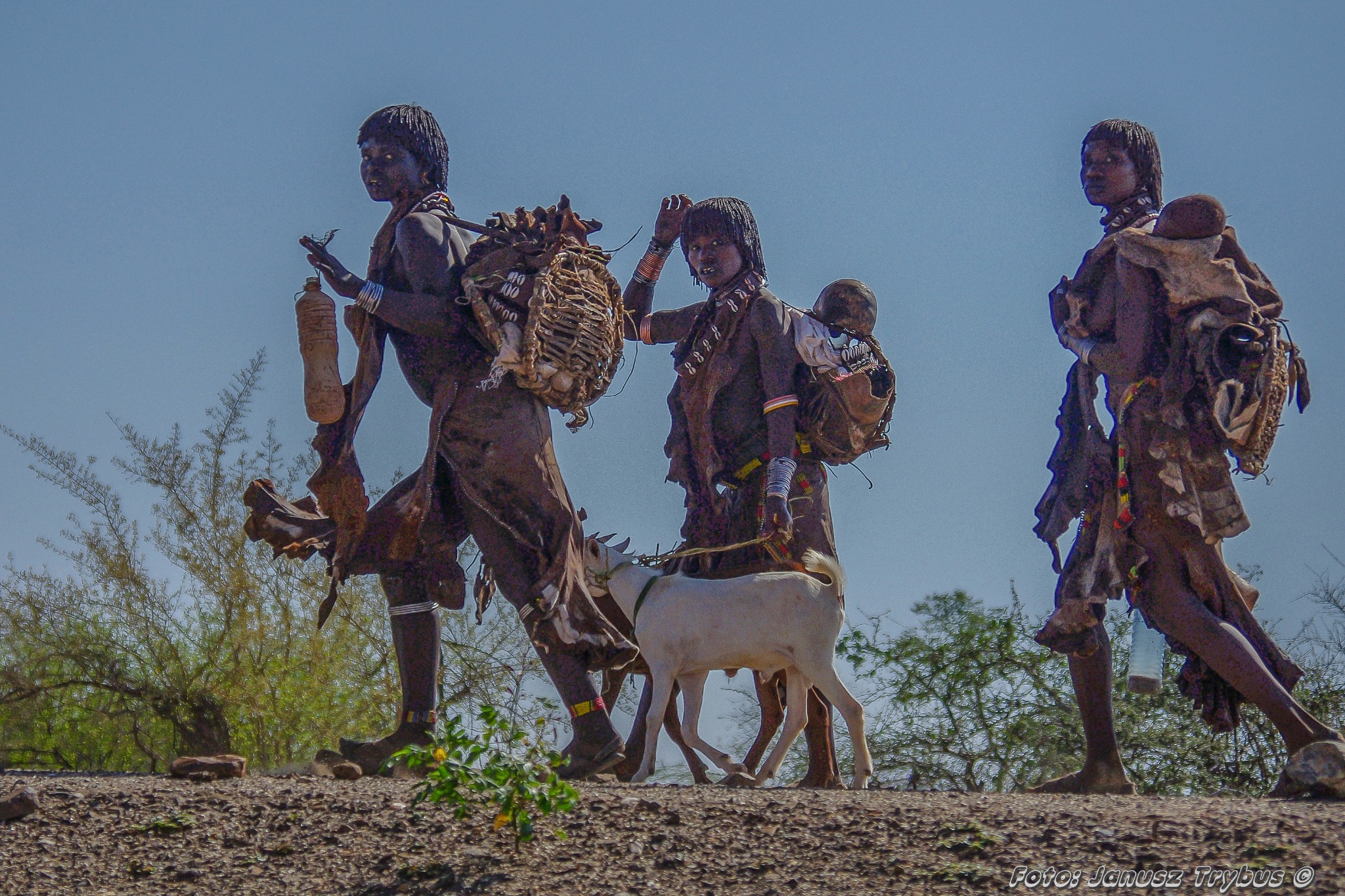 Trzech członków plemienia Hamer w Etiopii w tradycyjnych strojach, wędrujących po suchej ziemi z kozą, noszących ozdoby z koralików i plecione kosze.