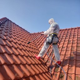 ART TRANS ANATOLII SOBKANIUK - Malowanie dach&oacute;w Gdańsk