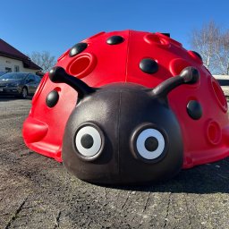 Przed domem Świdnica