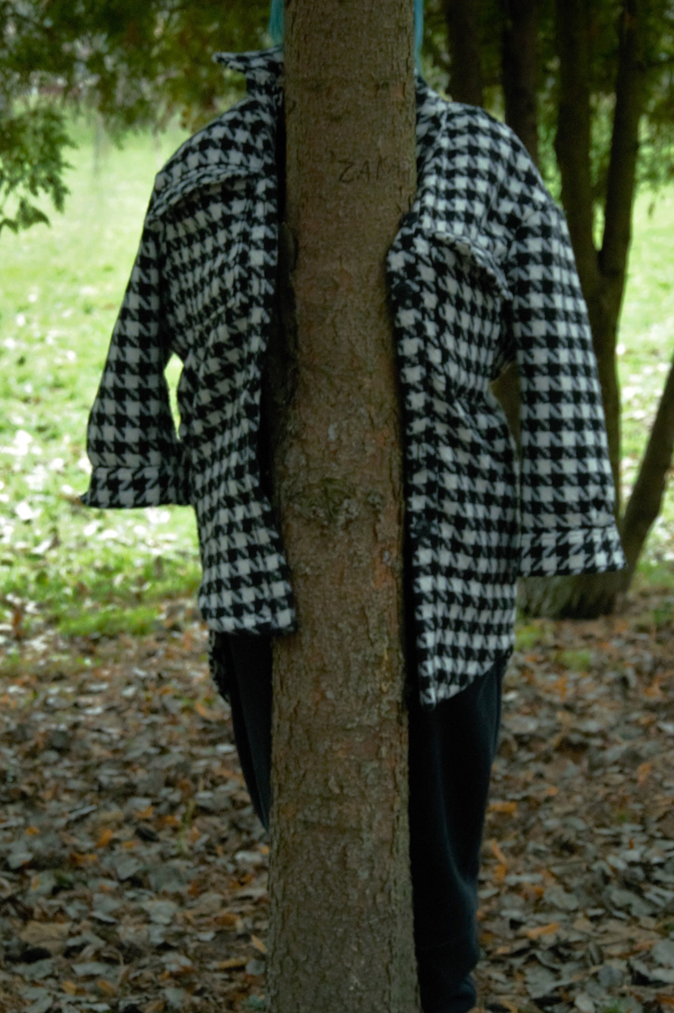 Czarno-biała kurtka w pepitkę zawieszona na drzewie z wyrytym napisem 'ZAM', leżąca na ziemi usłanej liśćmi, z zielonym trawnikiem i drzewami w tle.