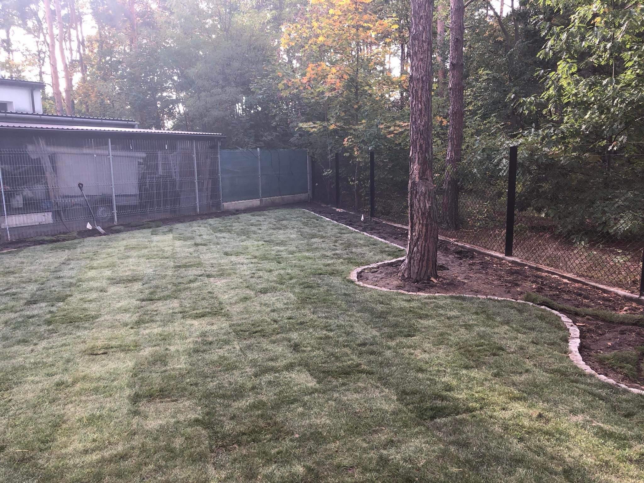 Świeżo ułożona trawa w ogrodzie, obrzeża z kostki wokół drzew, widoczny fragment ogrodzenia i budy dla zwierząt w tle.