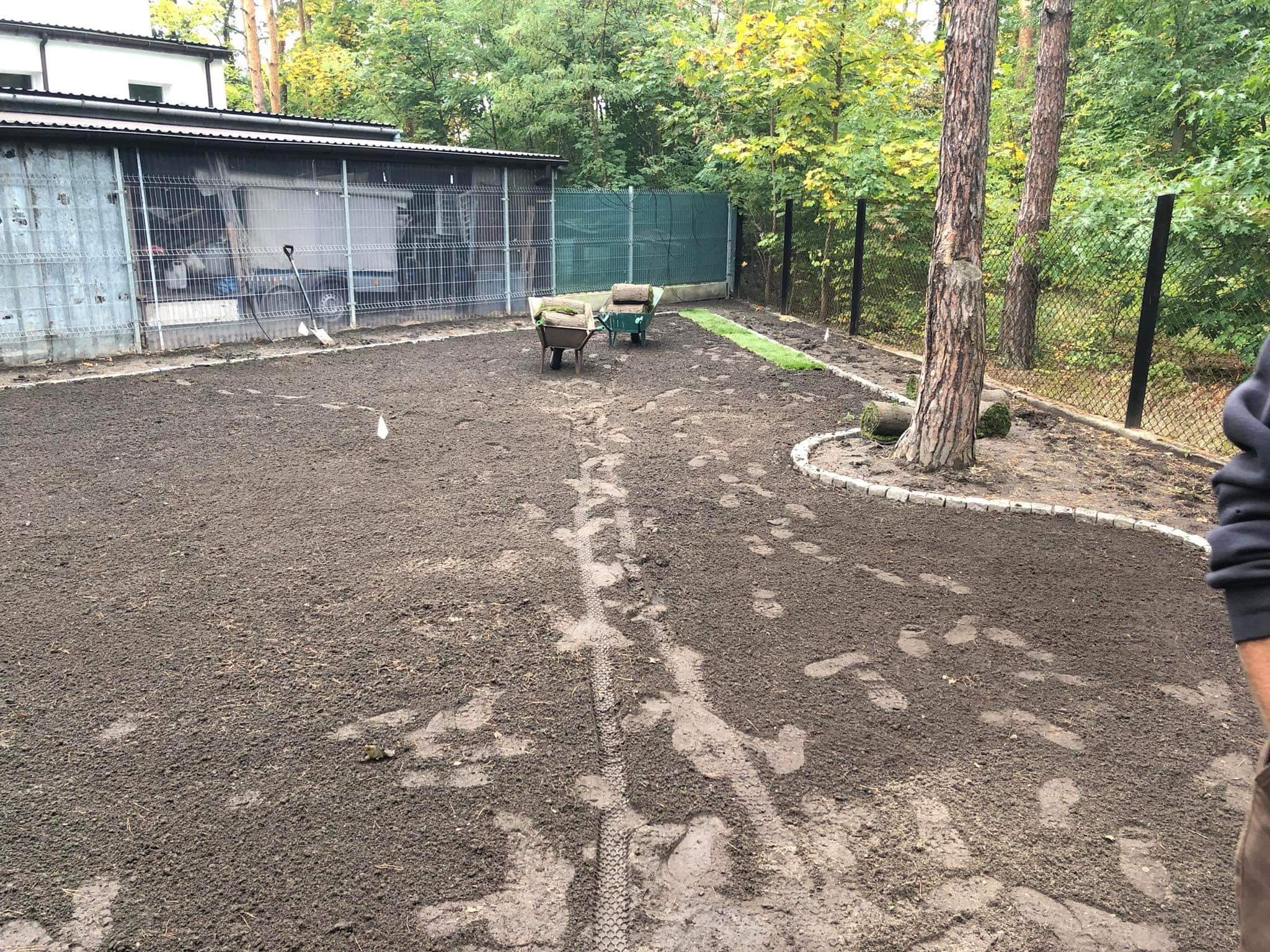 Przygotowany teren pod trawnik z rolki, widoczne dwie taczki z rolkami trawy, ułożony pierwszy pas trawy, ziemia z odciskami butów i opon, obrzeże z kostki, siatka ogrodzeniowa.