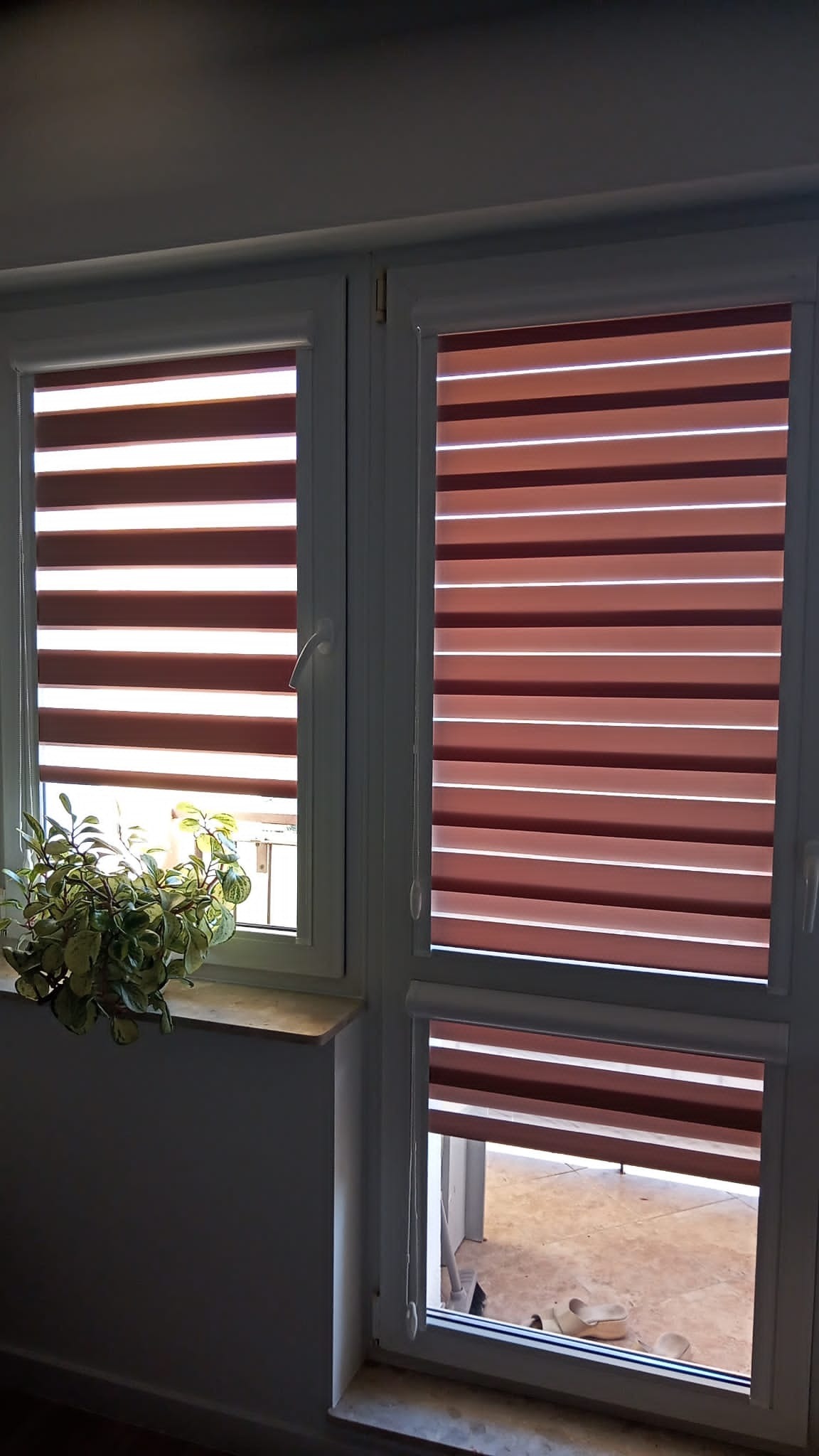 Dwa okna z zamontowanymi roletami dzień-noc w odcieniach brązu. Na parapecie po lewej stronie stoi doniczka z zieloną rośliną. Jedna roleta jest częściowo opuszczona.