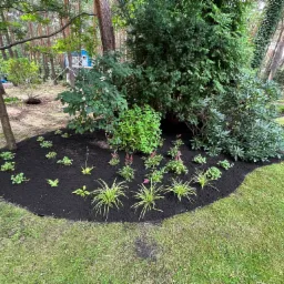 Okrągła rabata z ciemną korą i nasadzeniami młodych roślin ozdobnych, w tle drzewa iglaste i liściaste oraz trawnik. Widoczny domek dla dzieci na drzewie.
