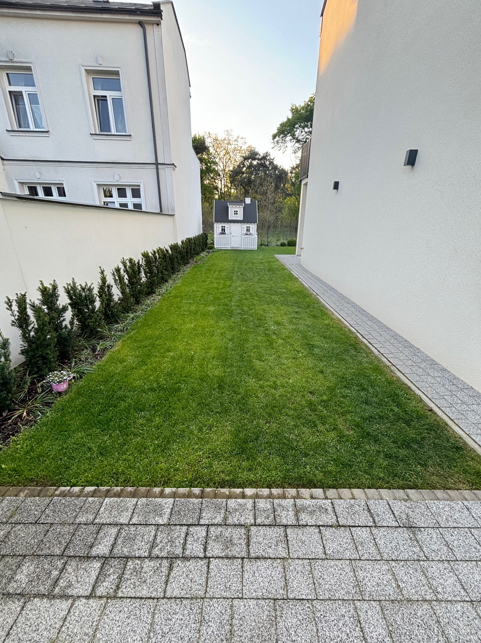 Równy trawnik między dwoma budynkami z małym białym domkiem dla dzieci na końcu, obrzeża z kamiennej kostki, przy ścianie budynku rząd przyciętych krzewów.