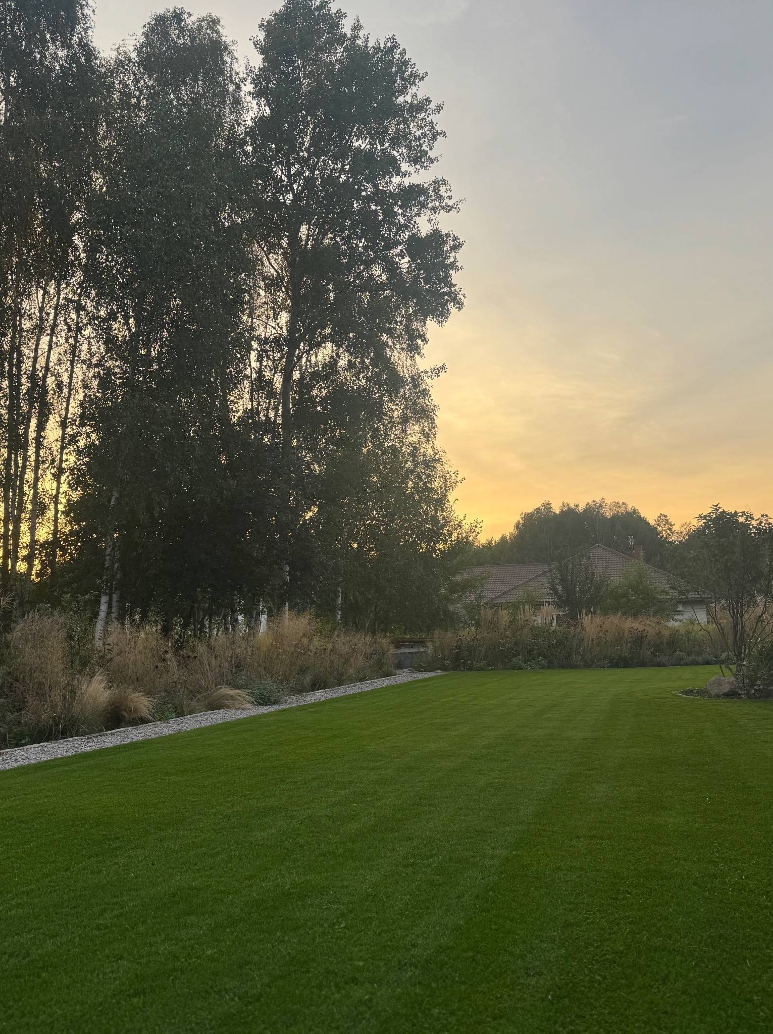 Zadbany trawnik z równo skoszoną trawą, obrzeża z kamyków, wysokie drzewa liściaste w tle, ciepłe światło zachodzącego słońca. Estetyczny ogród.