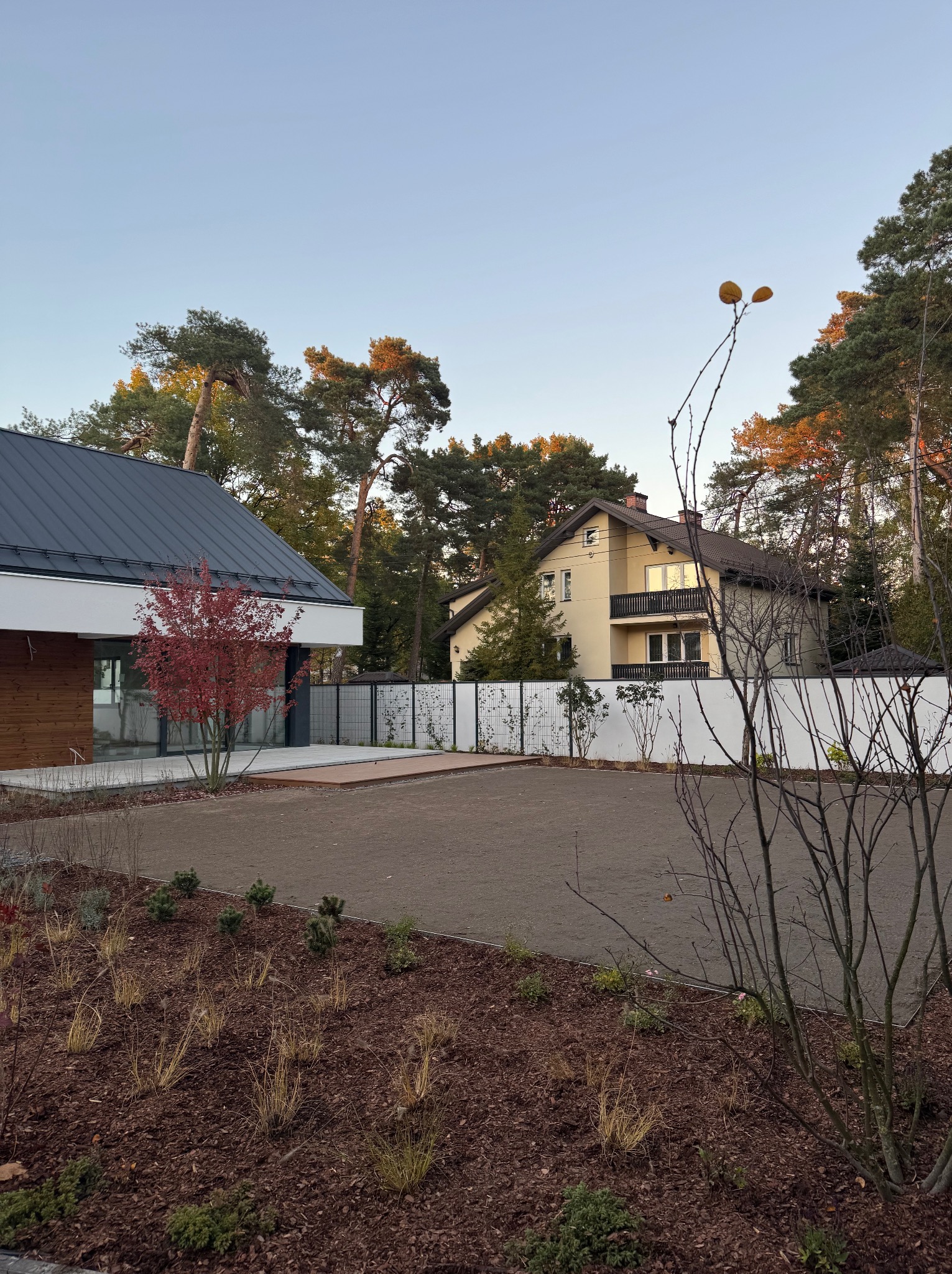 Nowoczesny ogród z młodymi nasadzeniami i korą, na tle dwóch domów i białego ogrodzenia. Jesienne oświetlenie drzew. Widok na przygotowany teren pod trawnik.