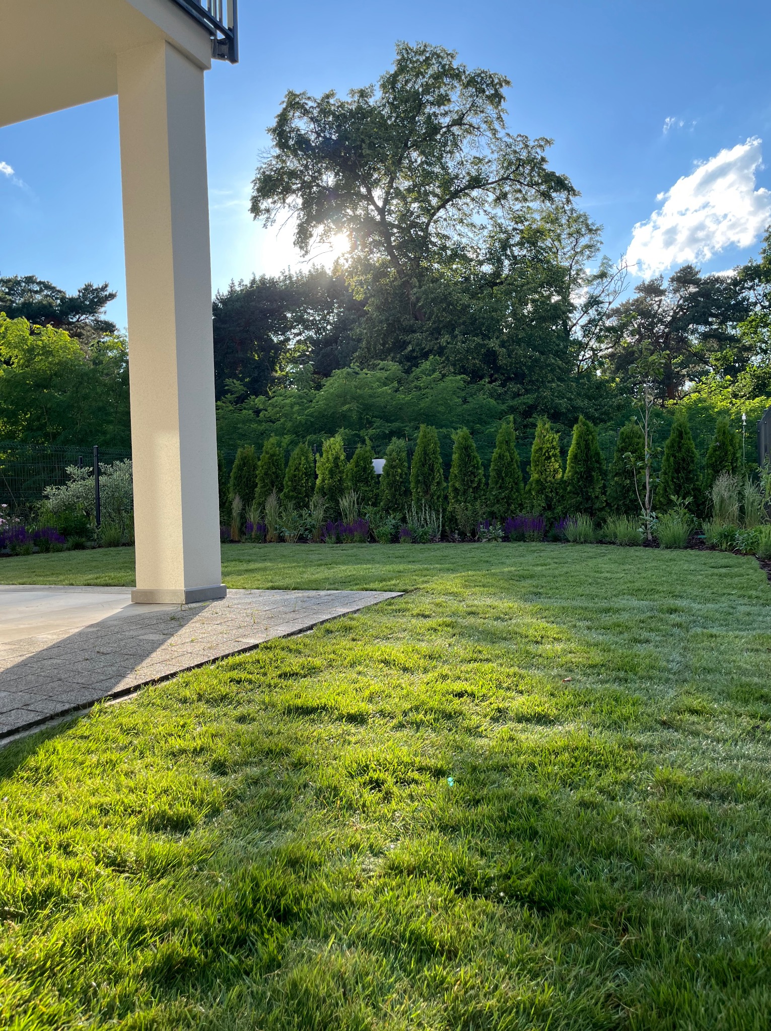 Zadbany trawnik w ogrodzie przydomowym, z równo przyciętą trawą i nasadzeniami wzdłuż ogrodzenia. Słońce prześwieca przez korony drzew w tle.