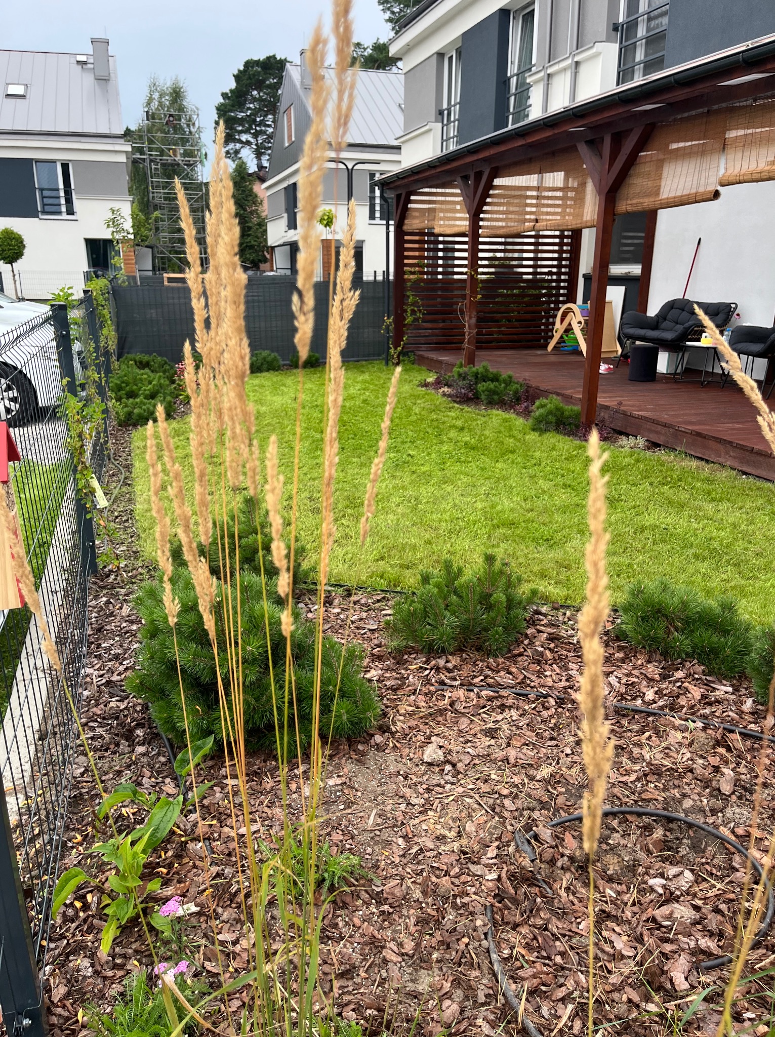 Zadbany ogród z równo przystrzyżonym trawnikiem, ozdobnymi krzewami i korą. W tle nowoczesny dom z drewnianą pergolą i meblami ogrodowymi. Widoczne źdźbła trawy ozdobnej.