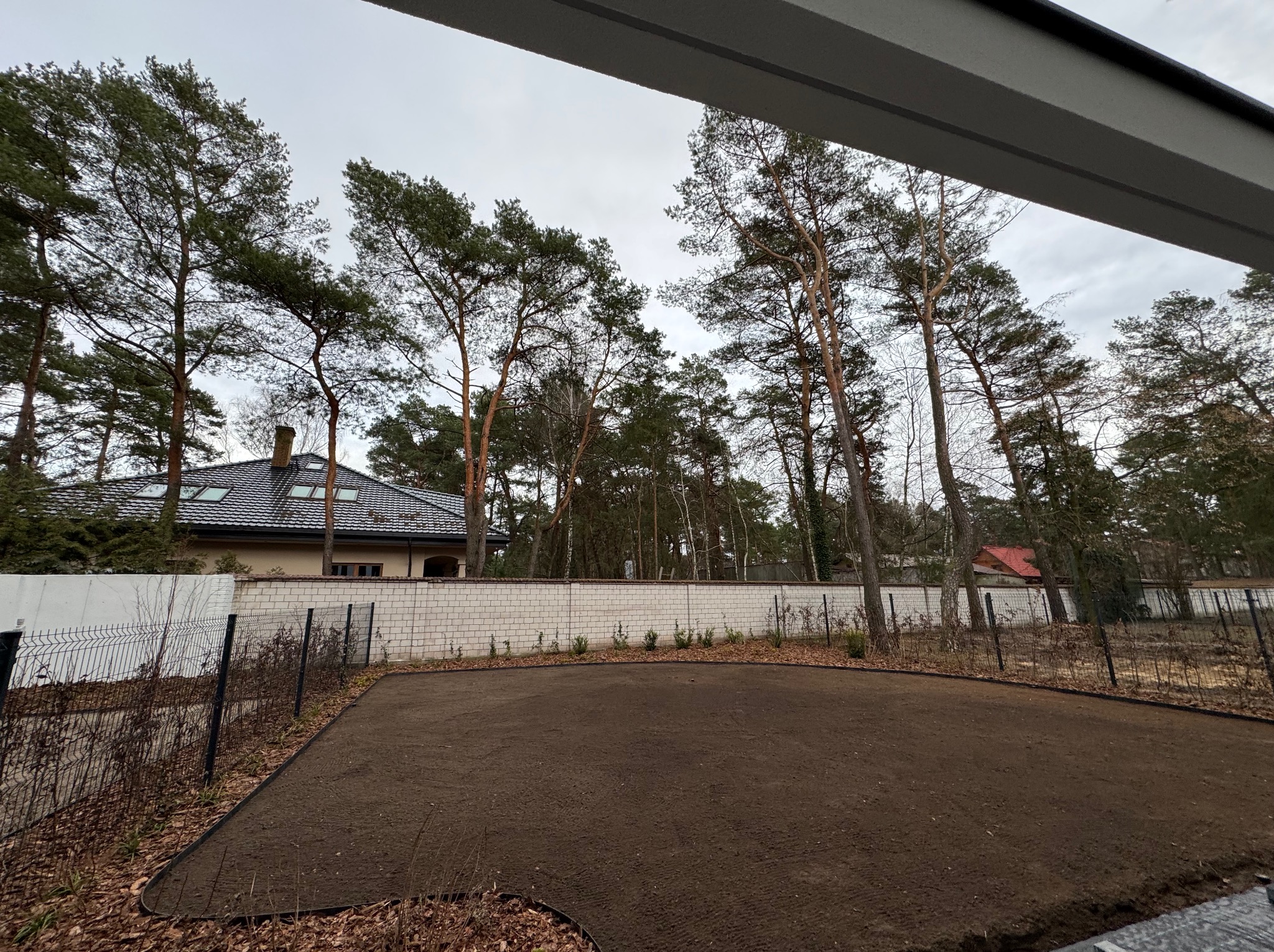 Przygotowany teren pod trawnik z widocznymi obrzeżami, otoczony drzewami i ogrodzeniem. W tle dom z ciemnym dachem i białymi ścianami. Pochmurne niebo.