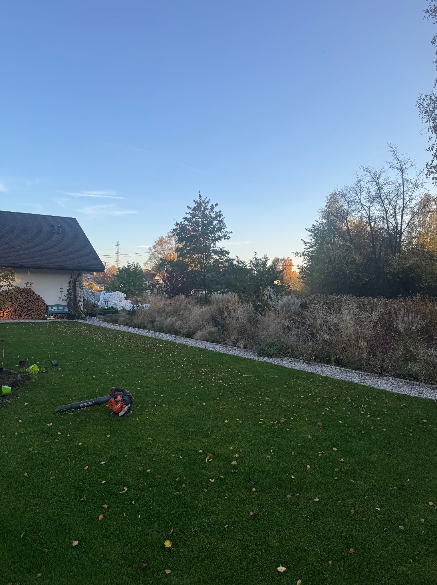 Jesienny ogród po koszeniu: równy trawnik z liśćmi, ozdobne trawy wzdłuż ścieżki, dmuchawa do liści na trawie, przygotowane podłoże i drewno na opał.