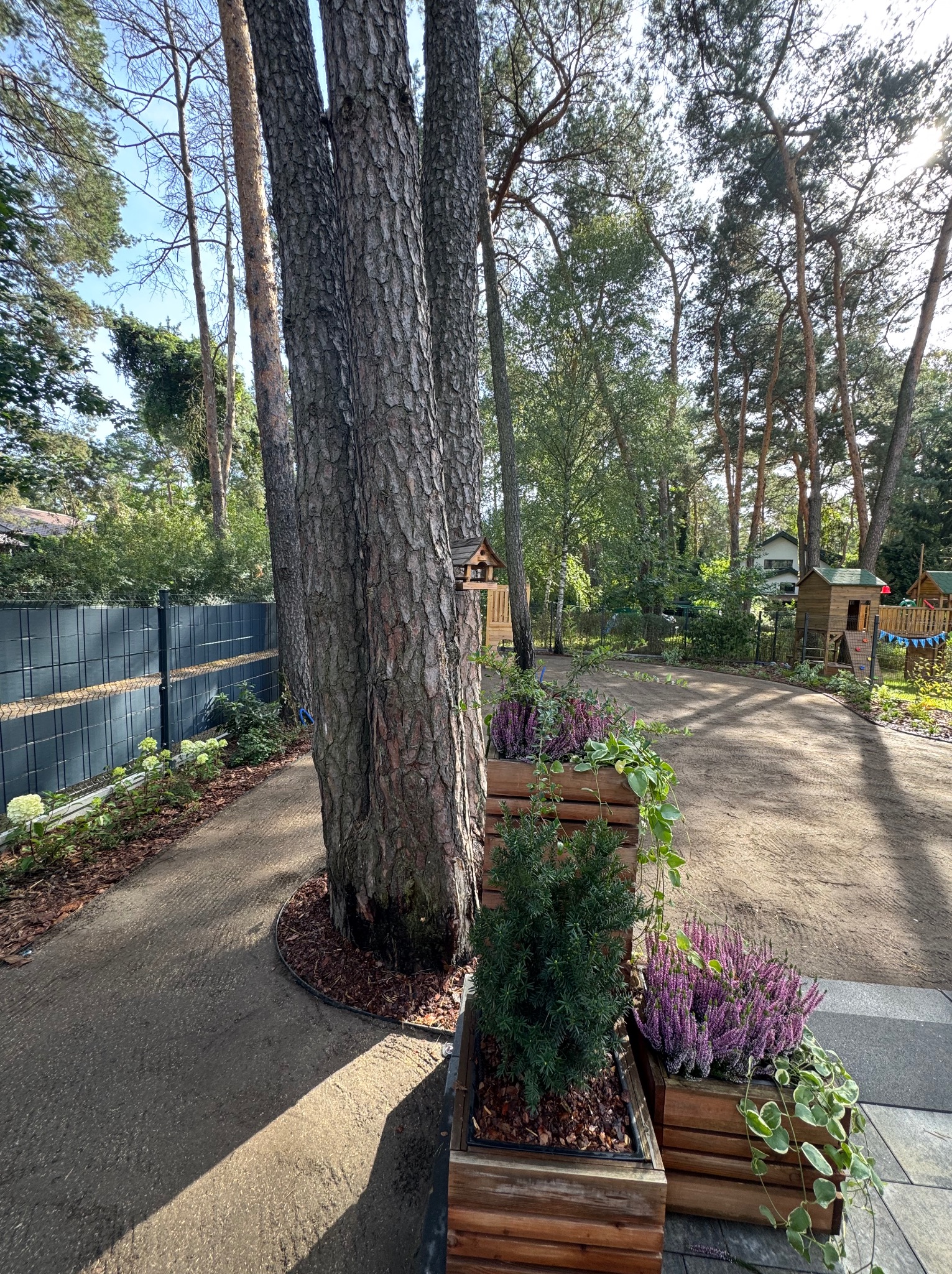 Urokliwy ogród z drewnianymi donicami, wrzosami i iglakami przy pniu drzewa. W tle plac zabaw i wysokie drzewa, tworzące naturalny, zacieniony krajobraz.