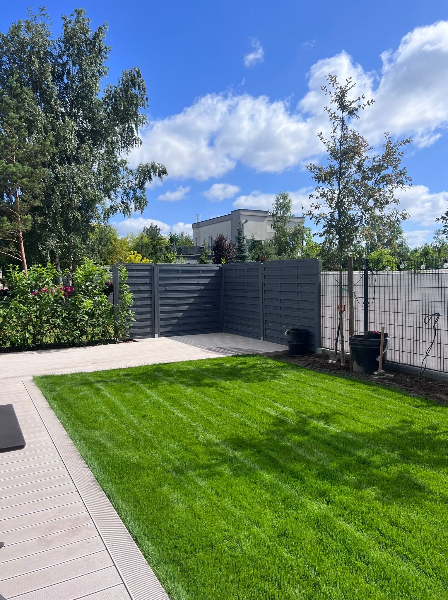 Zadbany trawnik z równo przystrzyżoną trawą, obok drewniany taras i szary płot lamelowy. W tle widoczne drzewa i budynek. Świeżo posadzone drzewka czekają na rozwój.