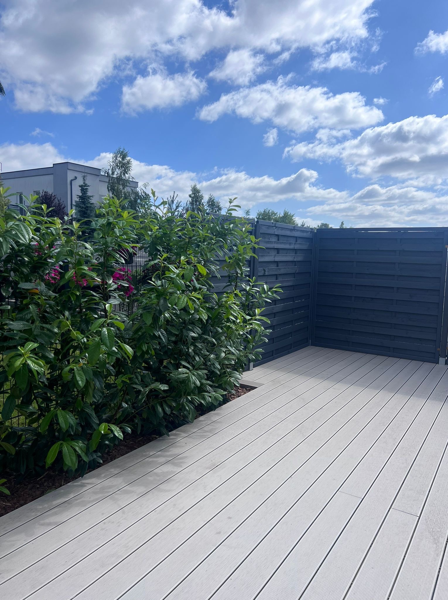 Nowoczesny taras z szarej deski kompozytowej i ciemnoszarego ogrodzenia panelowego, obok zadbany żywopłot z zielonych liści. Błękitne niebo z chmurami w tle.