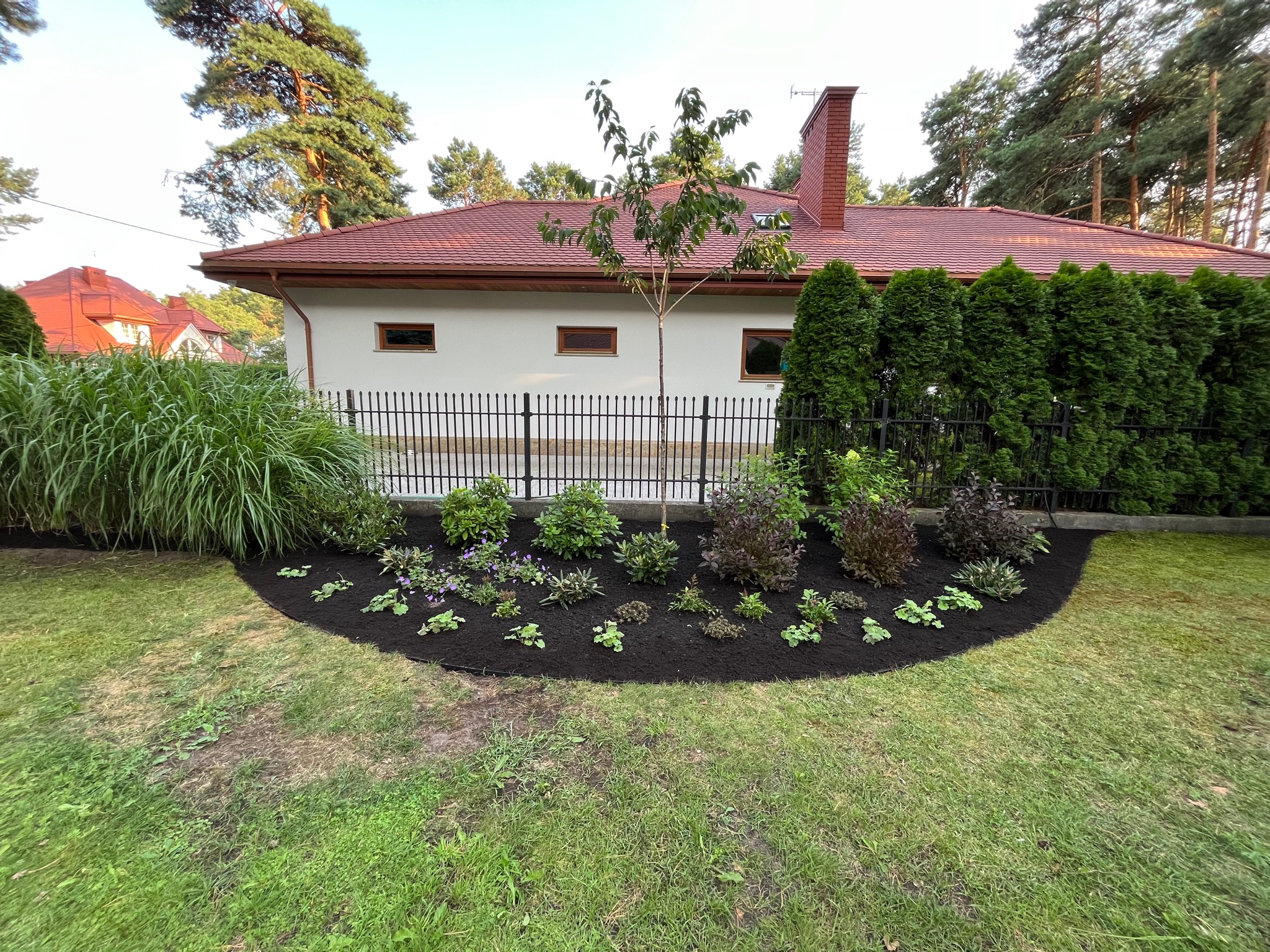 Półokrągła rabata z młodymi roślinami wysypana świeżą korą, na tle trawnika, ogrodzenia i budynku z czerwoną dachówką w Józefowie.