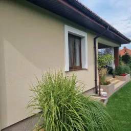 Jasna elewacja domu jednorodzinnego z beżowym tynkiem strukturalnym, białą ramą okienną i brązowymi oknami, widok z boku, w tle zadbany trawnik i roślinność.