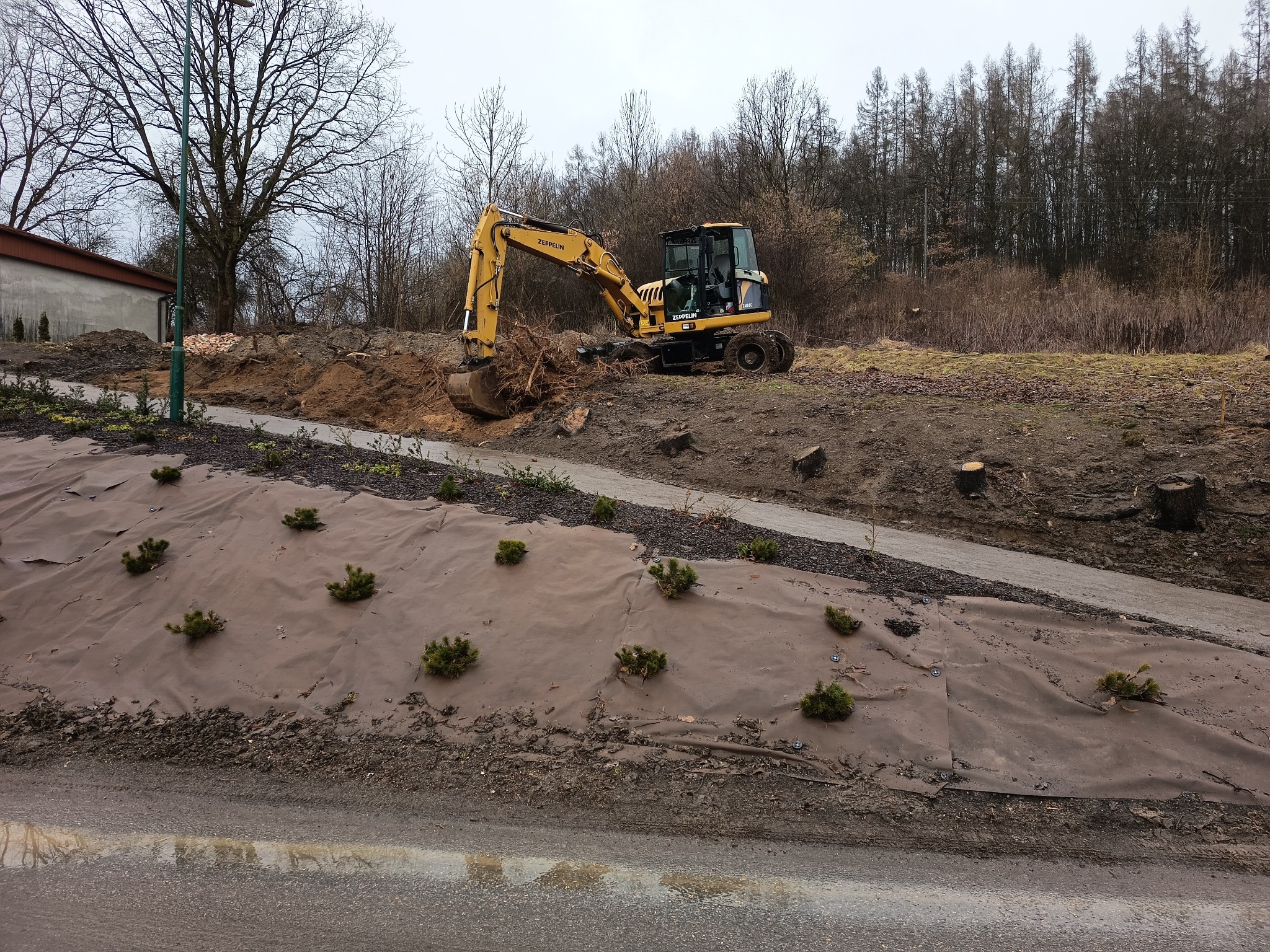 Żółta koparka Zeppelin na nierównym terenie z wykopaną ziemią i korzeniami, w tle drzewa i budynek. Na pierwszym planie brązowa tkanina z nasadzonymi roślinami.