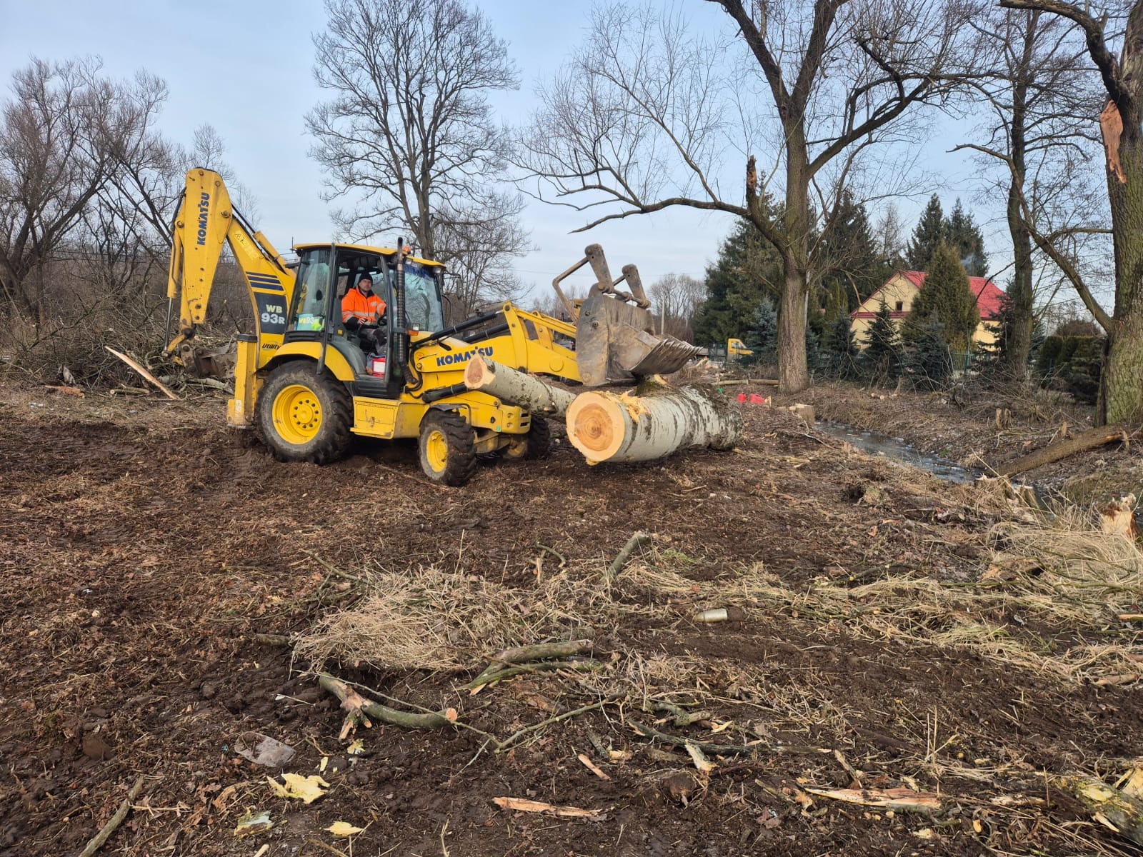 Żółta koparko-ładowarka Komatsu transportuje ścięty pień drzewa na błotnistym terenie po wycince. W tle widoczne drzewa i budynek mieszkalny.
