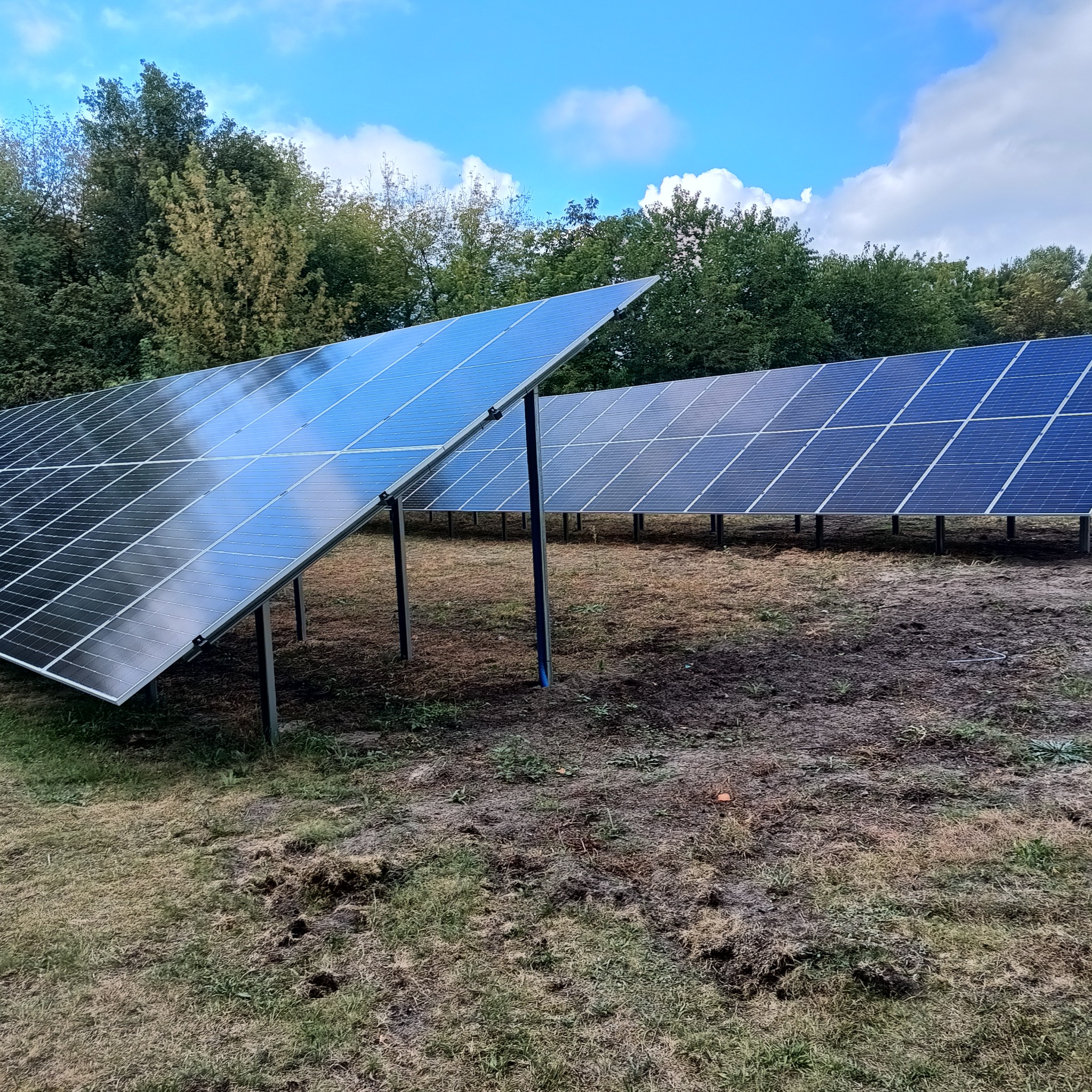 Rząd paneli słonecznych zamontowanych na metalowych konstrukcjach, odbijających błękitne niebo z chmurami, z widocznym tłem drzew