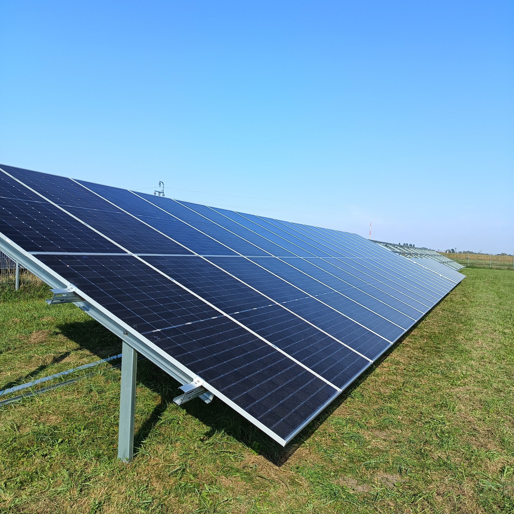 Rząd paneli słonecznych na zielonym trawniku pod błękitnym niebem, widoczne metalowe konstrukcje wsporcze i odległe słupy elektryczne.
