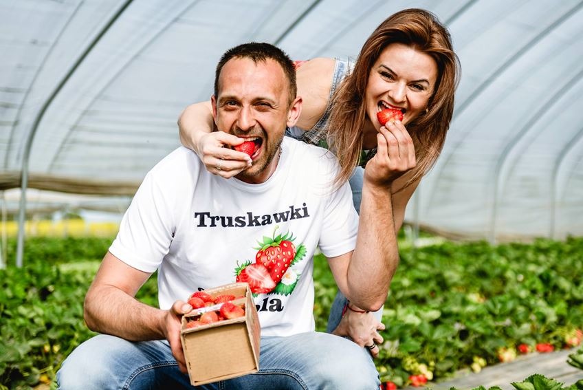 Uśmiechnięta para w szklarni truskawek, mężczyzna w koszulce z napisem 'Truskawki' trzyma pudełko pełne owoców, oboje jedzą truskawki.