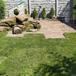 rozwijanie i montaż trawy z rolki