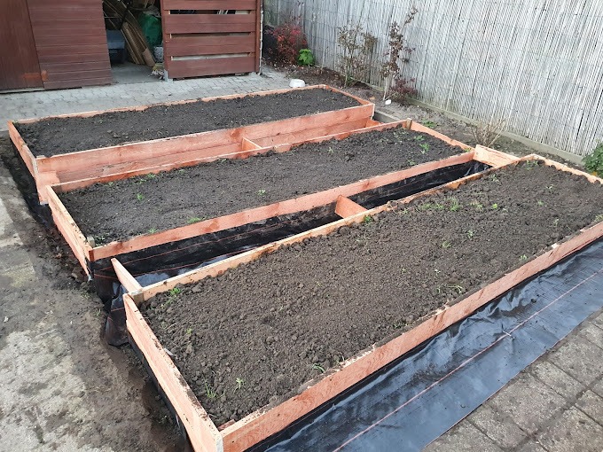 grządki podwyższane