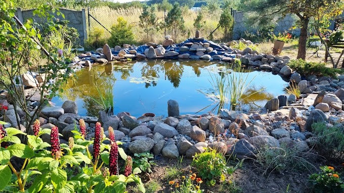 gotowe oczko wodne z początkowo gołego pola