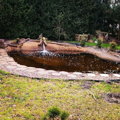 oczko wodne zrobione od zera