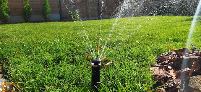 gotowe zraszanie wraz z trawą z rolki