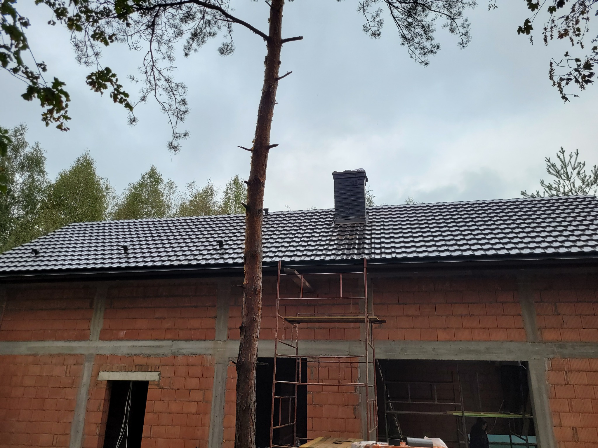Nowy, ciemny dach z kominem na surowym budynku w Brzezinach, widok z dołu przez gałęzie drzew, z rusztowaniem opartym o ścianę.