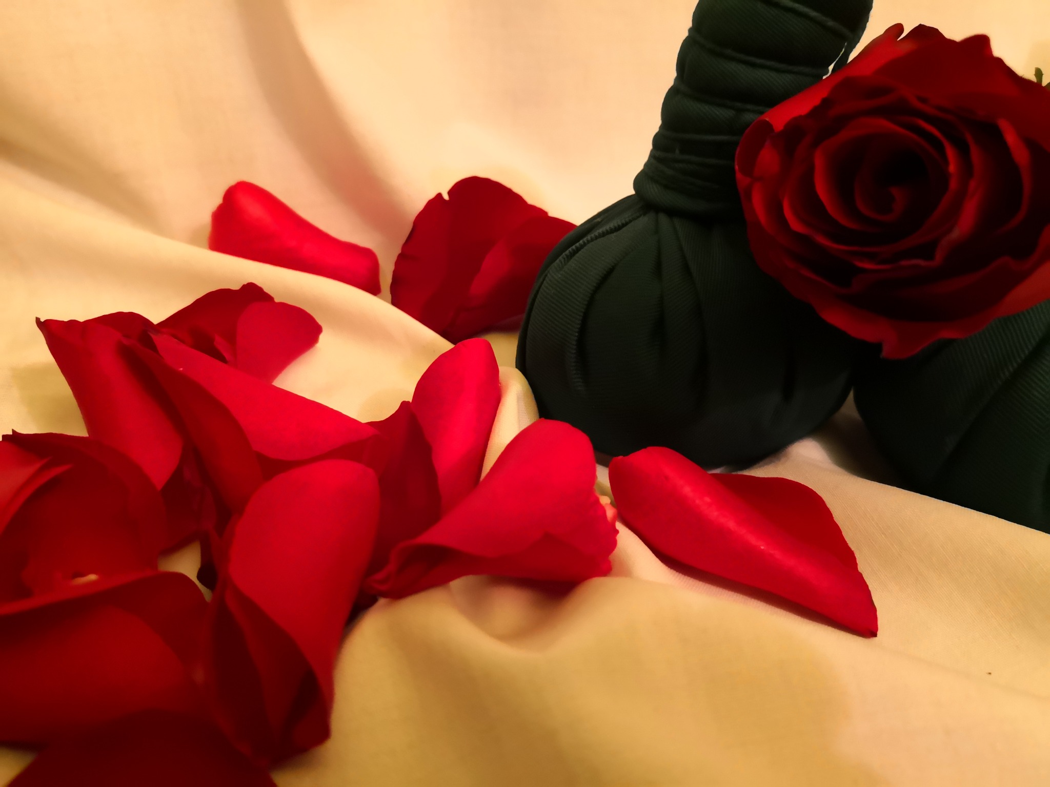 Dwa zielone stemple ziołowe i czerwona róża leżą na kremowym, jedwabistym materiale z rozrzuconymi płatkami czerwonych róż.