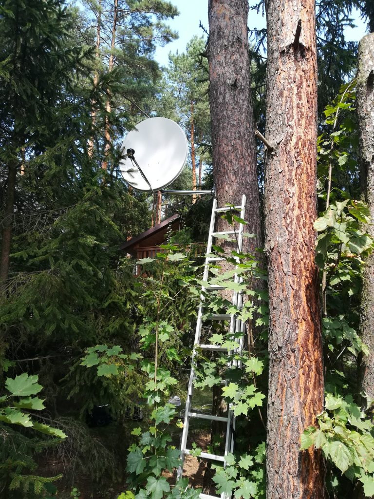 Biała antena satelitarna zamontowana na drzewie w lesie, drabina oparta o pień, w tle widoczny drewniany budynek.