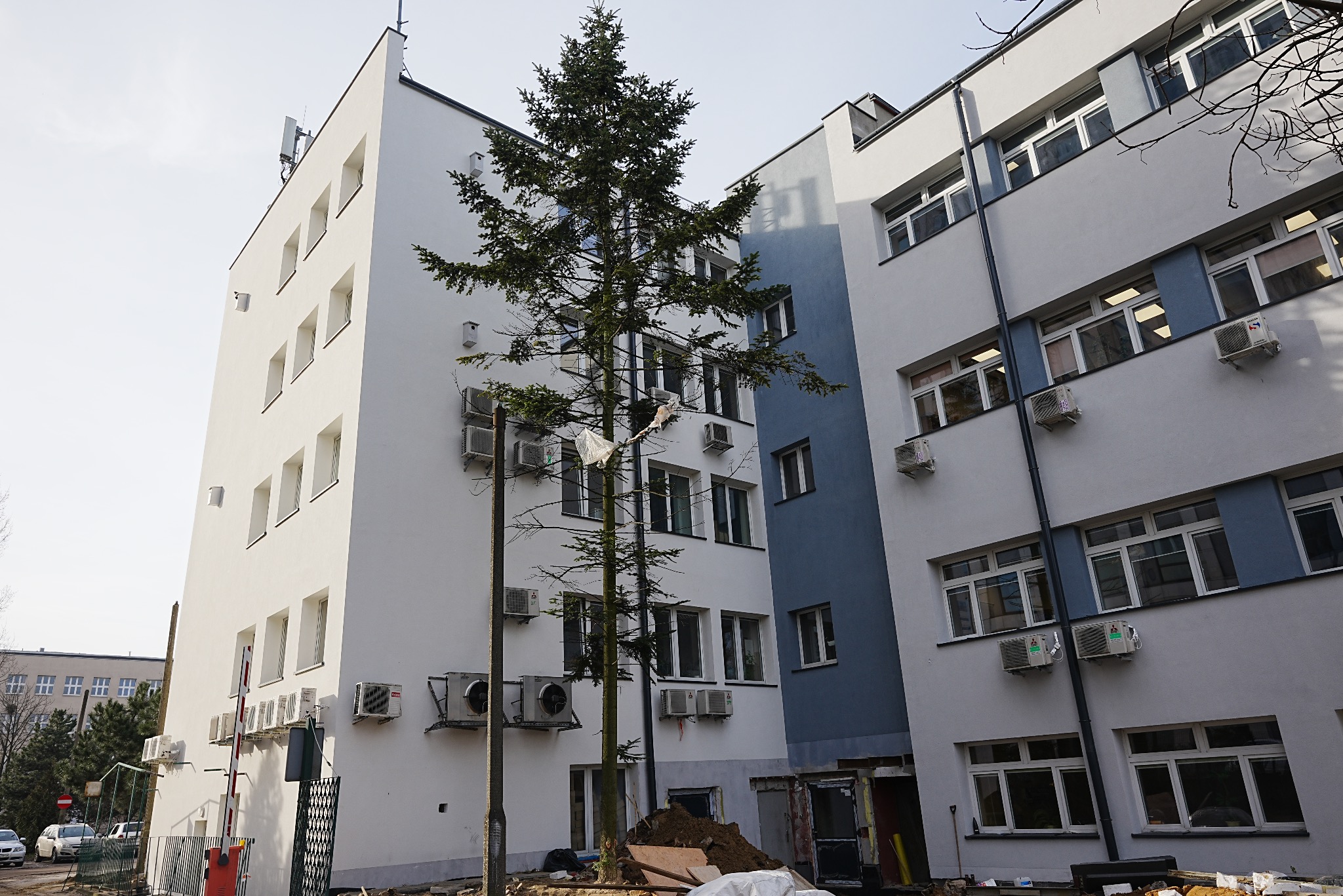 Biały budynek z licznymi oknami i klimatyzatorami, częściowo zasłonięty przez wysokie drzewo iglaste. Widoczne ślady prac budowlanych u podstawy budynku.