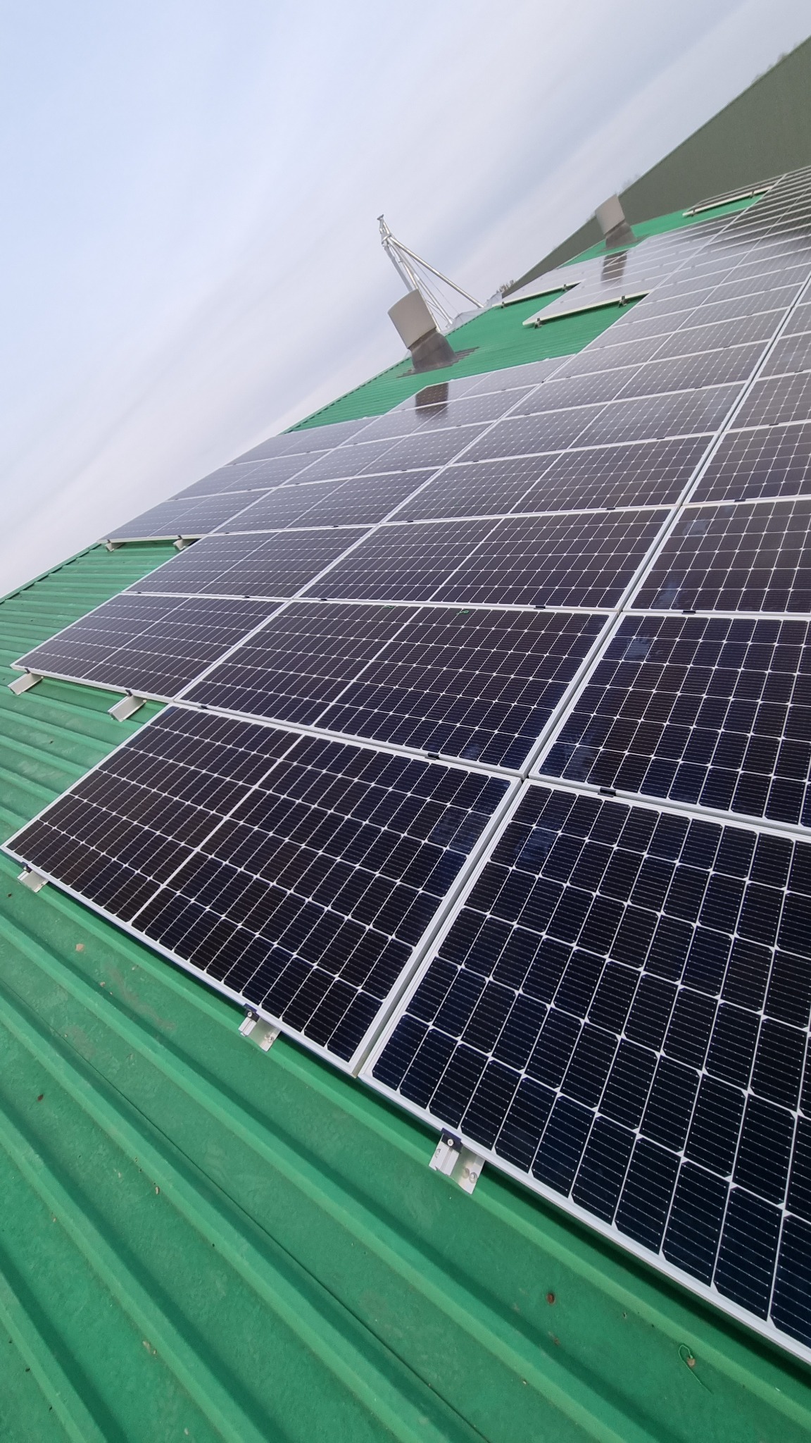 Rząd paneli słonecznych na zielonym blaszanym dachu, widok z dołu, pochmurne niebo w tle, metalowa konstrukcja na dachu.