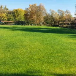 Rozległy trawnik z intensywną zielenią, częściowo zacieniony, z widocznymi drzewami w tle o jesiennych barwach i elementami architektury ogrodowej oraz placu zabaw w oddali.