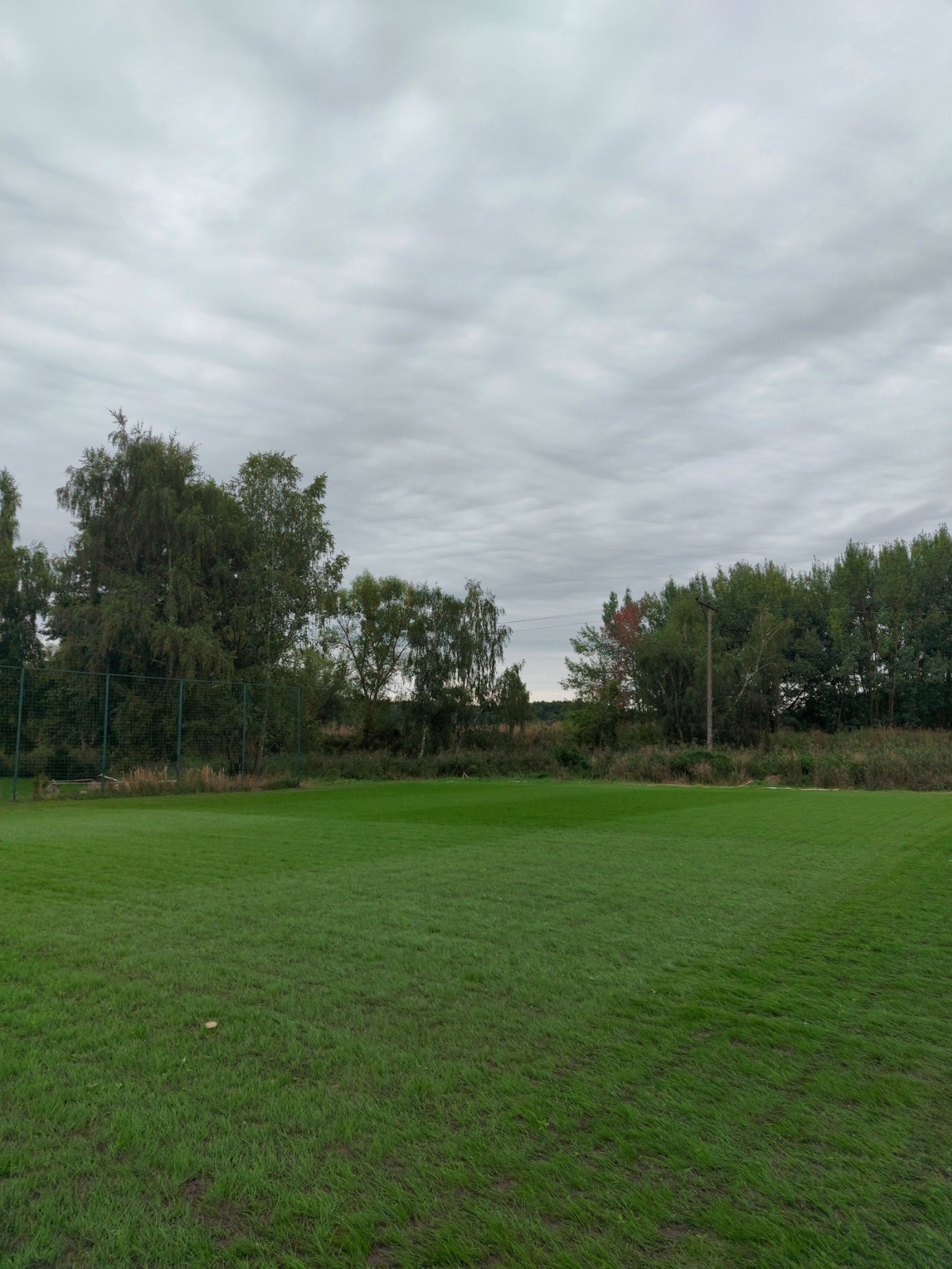 Rozległy trawnik z widoczną siatką ogrodzeniową w tle, otoczony drzewami i krzewami pod pochmurnym niebem.
