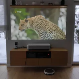 Salon z projektorem wyświetlającym film o gepardzie, za oknem zimowy krajobraz, pies siedzi tyłem i patrzy na śnieg, robot sprzątający na podłodze.