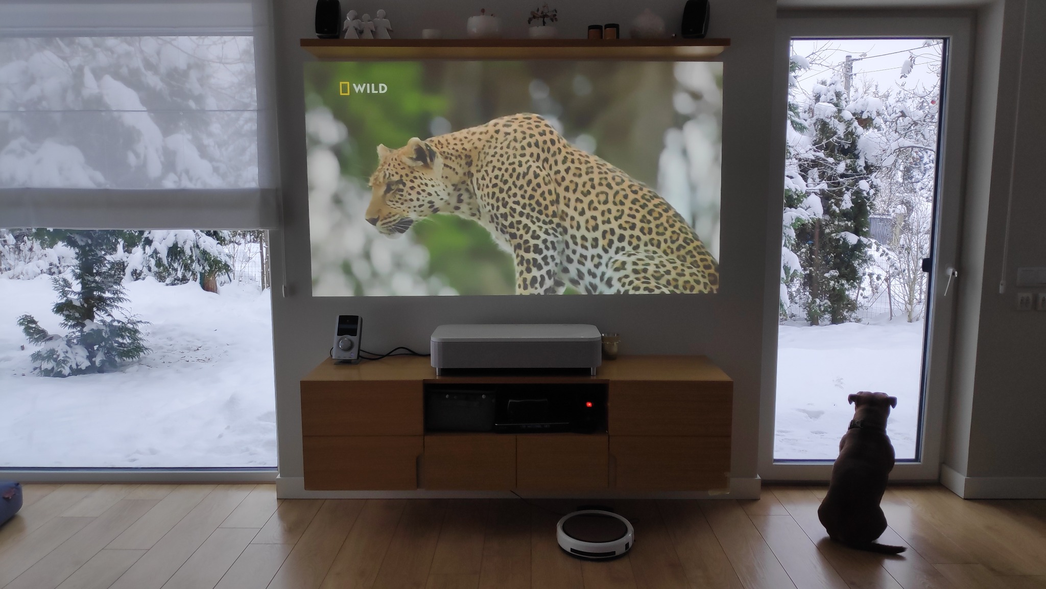 Salon z projektorem wyświetlającym film o gepardzie, za oknem zimowy krajobraz, pies siedzi tyłem i patrzy na śnieg, robot sprzątający na podłodze.