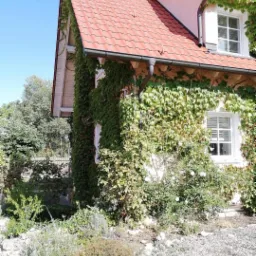 Dwupiętrowy dom z czerwonym dachem, częściowo porośnięty bluszczem, z widoczną satelitą na dachu i kamienistym podłożem.