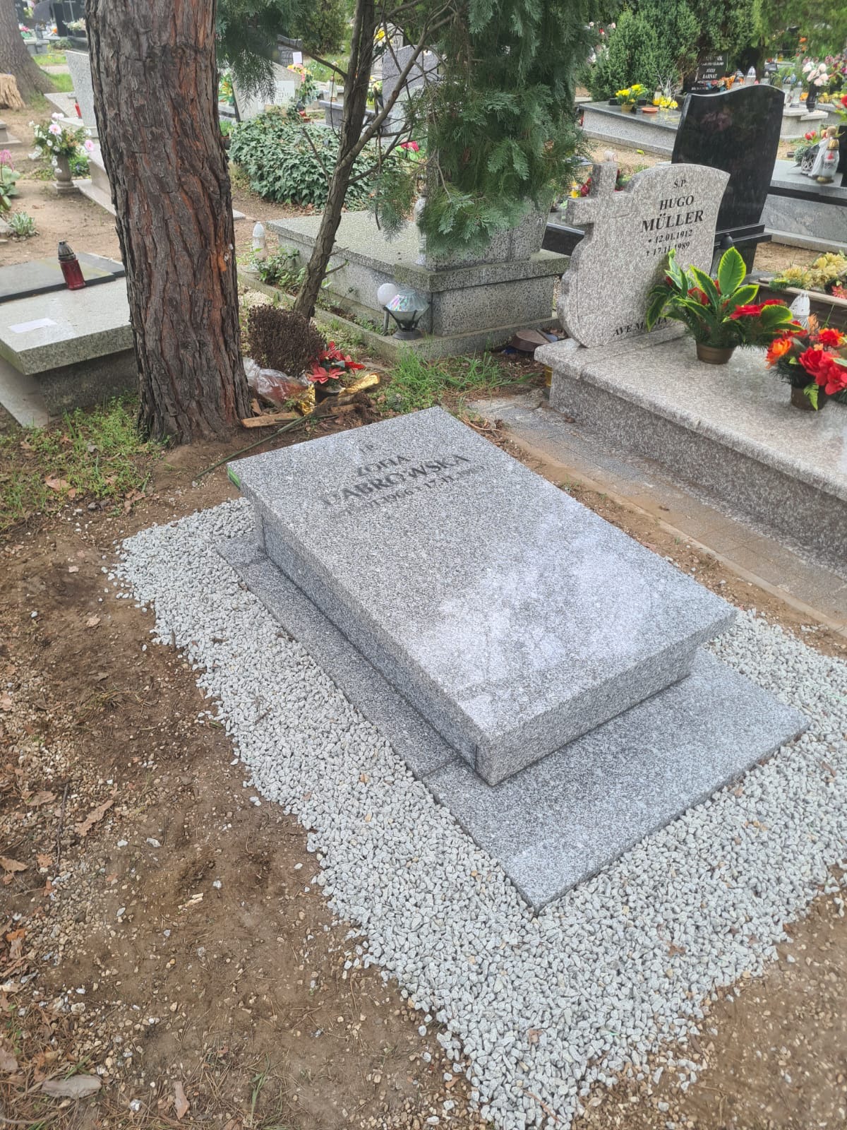 Granitowy nagrobek w kolorze szarym, otoczony drobnymi kamykami, na cmentarzu z widocznym drzewem w tle.