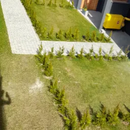 Widok z góry na nowo założony trawnik z rolki, obok ścieżki z kostki brukowej i rzędu młodych drzewek iglastych przy nowoczesnym budynku.