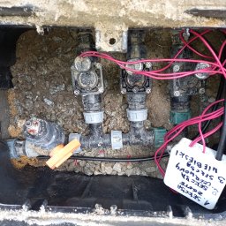 Pielęgnacja ogrodów Wrocław 2