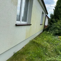 Fragment elewacji domu przed i po czyszczeniu, widoczna różnica w kolorze, od strony ogrodu z bujną roślinnością.