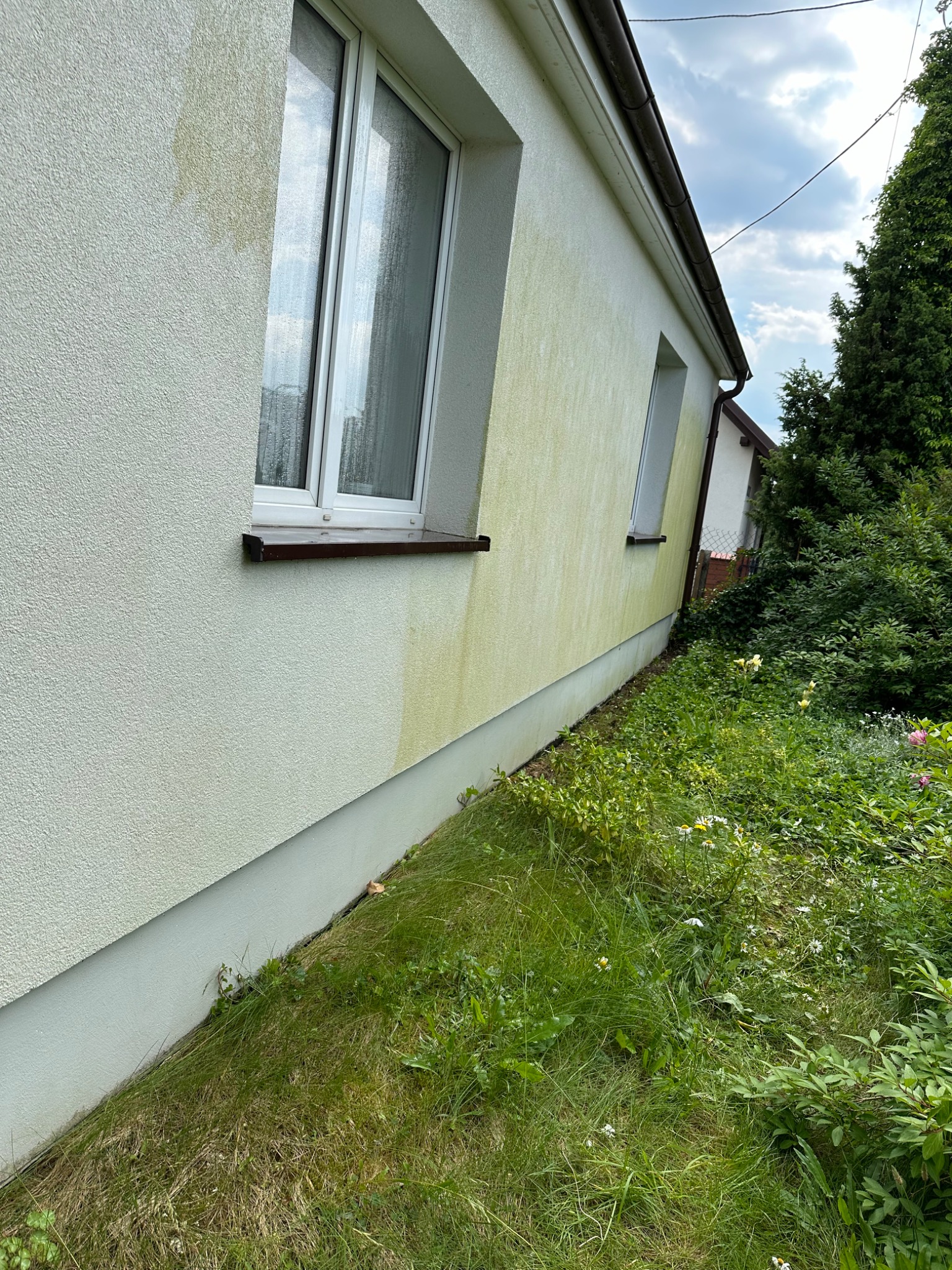 Fragment elewacji domu przed i po czyszczeniu, widoczna różnica w kolorze, od strony ogrodu z bujną roślinnością.